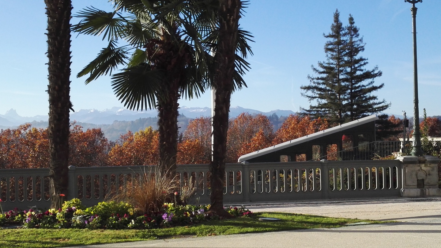 Terrasse du boulevard des Pyrénées à Pau bordée de palmiers, sommets enneigés en arrière-plan